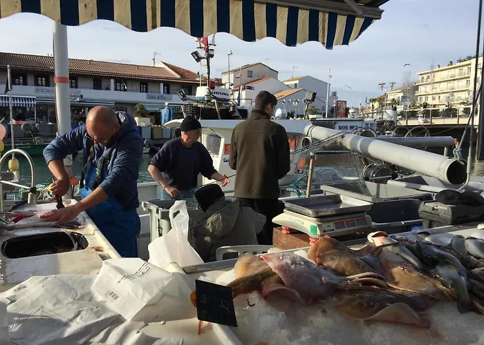 Cote Sud Lägenhet *